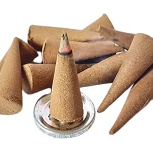 41nCq8YIWxL._UF894,1000_QL80_